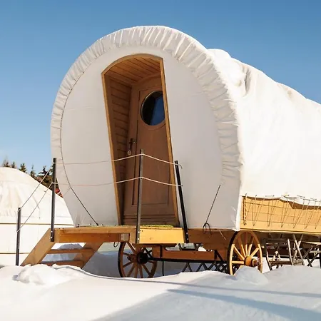 Glamping Spiritul Zimbrului 3*