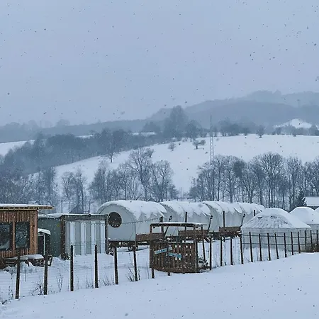 Luxury tent Glamping Spiritul Zimbrului Vama Buzaului