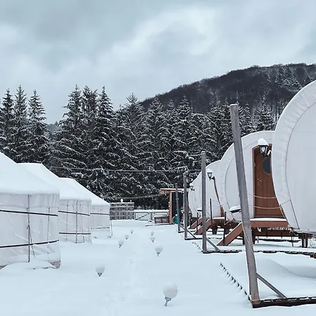 Glamping Spiritul Zimbrului Vama Buzaului