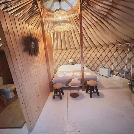 Glamping Spiritul Zimbrului 3* Vama Buzăului